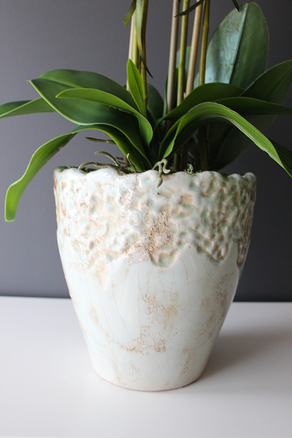 Malezja storczyk w jasno turkusowej donicy wys.83cm