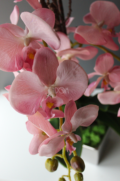 Jukatan, zjawiskowy różowy storczyk w srebrnym naczyniu, wys.60cm