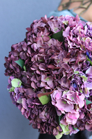 Maestro, flowerbox / kompozycja z fioletowych hortensji, wys.42cm