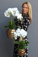 Gold Tulluza, sztuczny storczyk w złotej donicy, wys.56cm