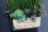 Henalia, sztuczna trawa z sukulentami w prostokątnej donicy, wys.82cm