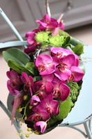 Dekoria Fuksja Modern, kompozycja ze storczykiem, dł.45cm