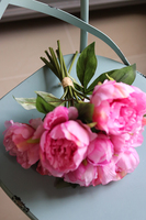 bukiet różowych Piwonii, Pink Spring, 8szt., dł.35cm 