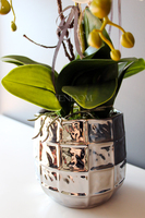 sztuczny storczyk Pandora w srebrnej donicy, wys.63cm