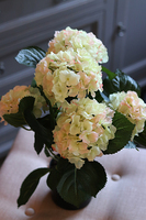 doniczkowa hortensja Jasnozielona, wysokiej jakości sztuczne kwiaty, wys.40cm