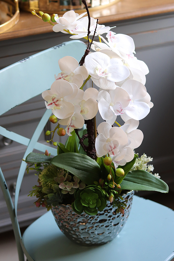 Kellano Hera, biały storczyk w srebrnej donicy, wys.58cm 