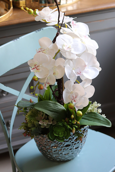 Kellano Hera, biały storczyk w srebrnej donicy, wys.58cm 