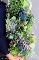 kompozycja sukulenty w długiej donicy, Modenato, dł.90cm 