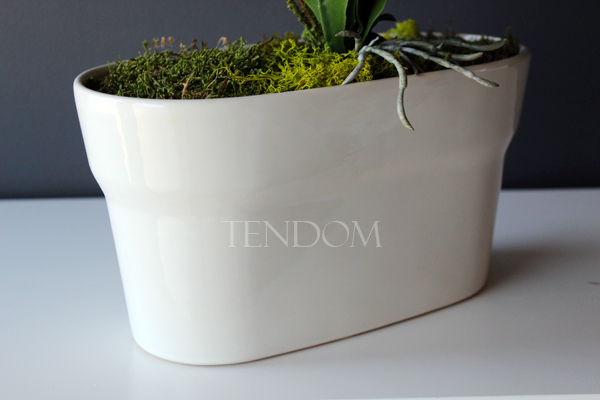 obfity storczyk Klara Krem w ciekawej donicy, wys.68cm