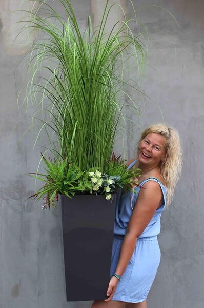 Gabriela sztuczna trawa z sukulentami w szarej donicy, wys.150cm