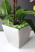 Jukatan, zjawiskowy różowy storczyk w srebrnym naczyniu, wys.60cm