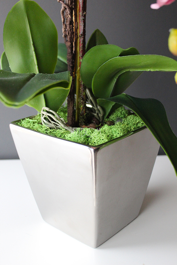 Jukatan, zjawiskowy różowy storczyk w srebrnym naczyniu, wys.60cm