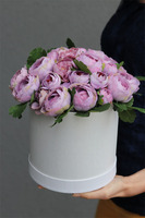 Pudrova Fantazja, efektowny flowerbox z pełnikami, wys.29cm