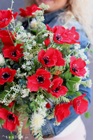 flowerbox welurowy, Polne Maki, wym. 50x48cm