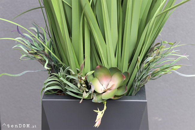 kompozycja Nevis Design 2, Trawy & Sukulenty w szarej donicy, wys.175cm