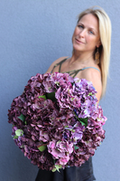 Maestro, flowerbox / kompozycja z fioletowych hortensji, wys.42cm