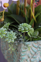 Belonata, sztuczny storczyk z sukulentami w ceramicznej donicy Siena, wys.82cm