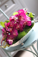 Dekoria Fuksja Modern, kompozycja ze storczykiem, dł.45cm