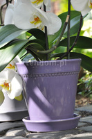 donica ciemnofioletowa z podstawką, mniejsza