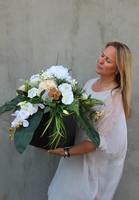 kompozycja nagrobna Pedro w naczyniu z plastiku, wys.48cm 