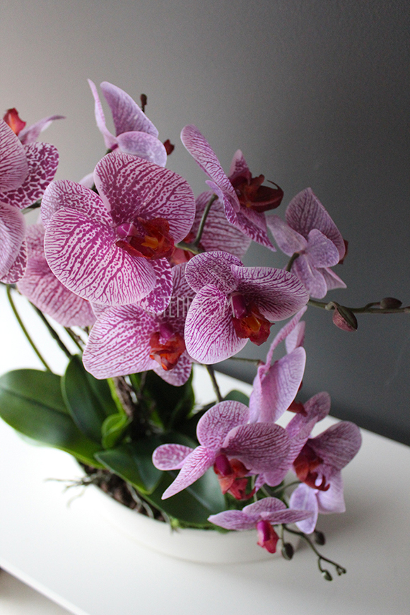 Kaori, elegancki storczyk w białej misie, wys.50cm