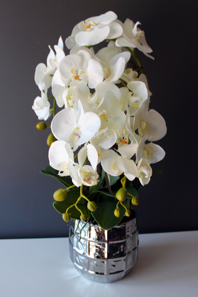 sztuczny storczyk Pandora w srebrnej donicy, wys.63cm