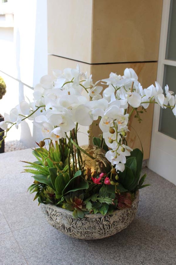 Golden Heaven, ekskluzywny, bardzo duży storczyk ze złotymi kulami i sukulentami, wys.62cm