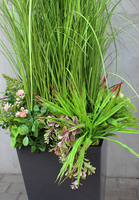 Gabriela sztuczna trawa z sukulentami w szarej donicy, wys.150cm