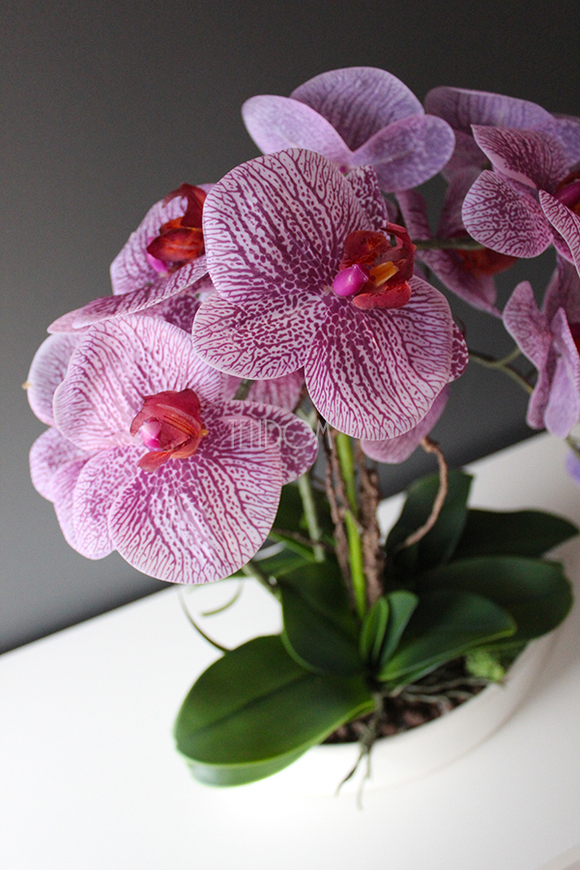 Kaori, elegancki storczyk w białej misie, wys.50cm