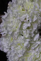 biały elegancki wianek na drzwi, Amanda 2, śr.28cm