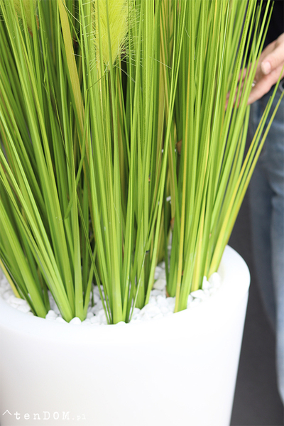 Dolomita Light, trawa z kłosami w podświetlanej donicy, wys.165cm