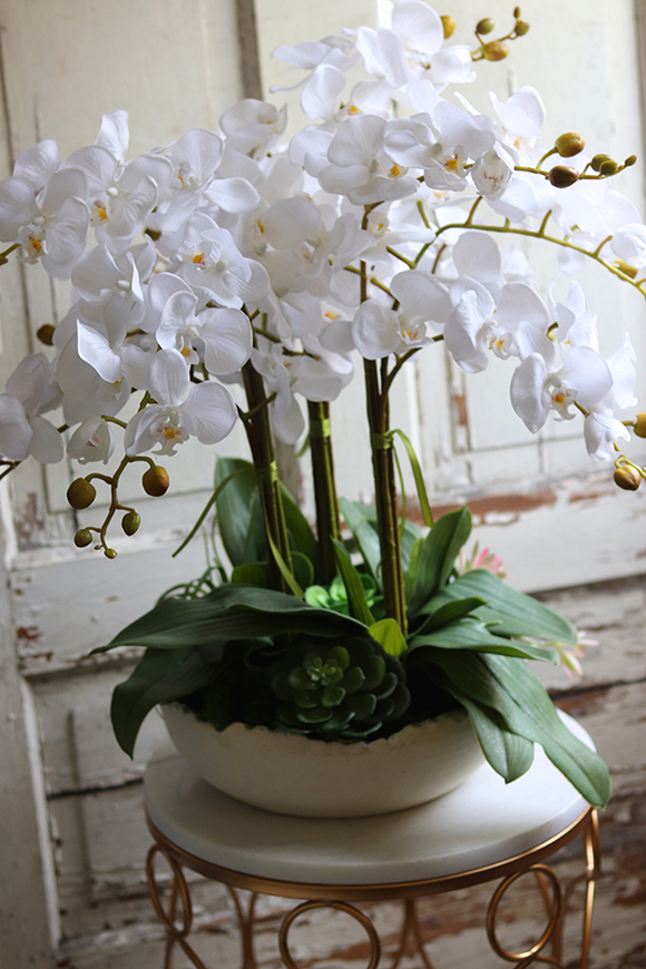 Terto, storczyk i sukulenty w dekoracyjnej misie, wys.62cm 