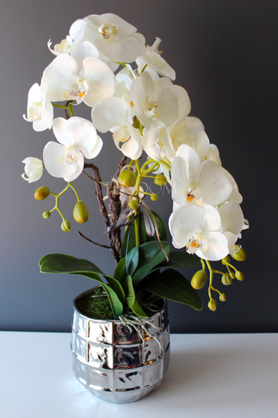 sztuczny storczyk Pandora w srebrnej donicy, wys.63cm