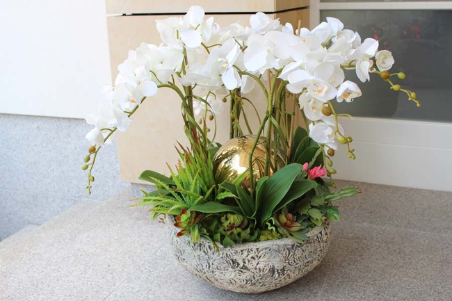 Golden Heaven, ekskluzywny, bardzo duży storczyk ze złotymi kulami i sukulentami, wys.62cm