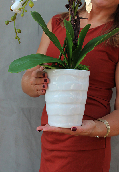 Rudolfo, atrakcyjny storczyk w ceramicznej donicy, wys.58cm
