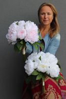 Aura, bukiet jasnoróżowych peonii wys.38cm