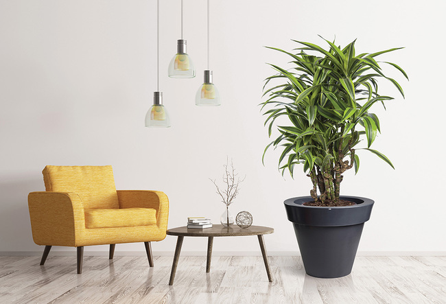 Grande donica antracyt z wewnętrzną półką, 88x75cm