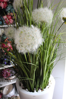 kompozycja w podświetlanej donicy z trawami i dmuchawcami Simple Grass, wys. 190cm