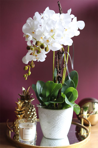 Cannata, elegancki storczyk w szarej donicy, wys.60cm