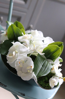 Dekoria White Apartment, sztuczny storczyk w metalowej paterze, wym.24x42cm