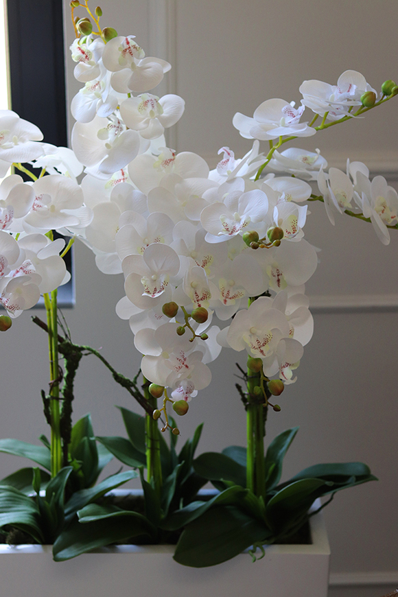 Grande Fiberglass Marco, duża kompozycja ze storczykiem, wys.121cm