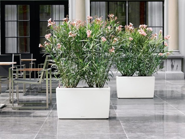 donica na kółkach z nawadnianiem, Cararo, biała, wym.43x75x30cm