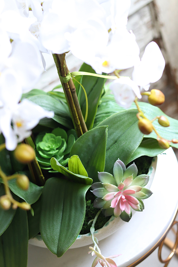 Terto, storczyk i sukulenty w dekoracyjnej misie, wys.62cm 