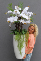 Fiberglass Grande White Duo, efektowny storczyk w białej donicy z fiberglass, wys.140cm