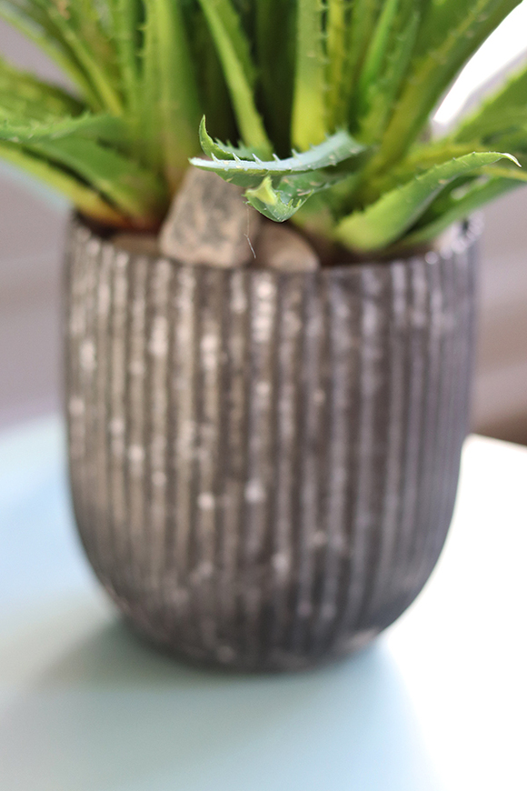 Debrano, kompozycja sukulenty w czarnym naczyniu, wys.33cm