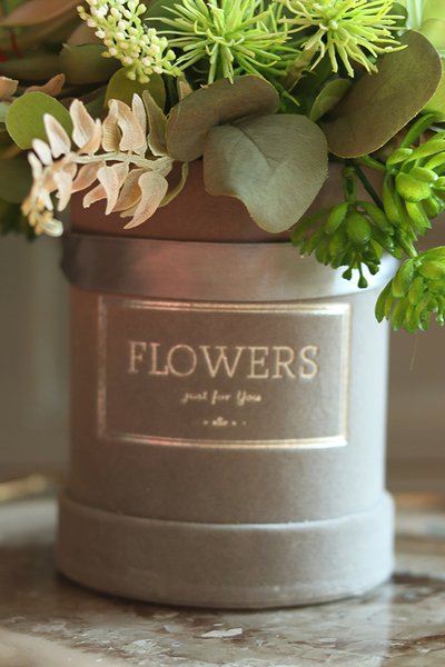 Albertina Small, welurowy flowerbox z sukulentami, wys.28cm