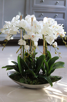 Bartolomeo Łódka, storczyk w srebrnym wydłużonym naczyniu, wys.55cm