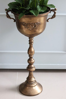 atrakcyjny wysoki storczyk w pucharze, Pałacowa Aura, wys.152cm 