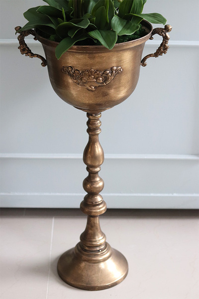 atrakcyjny wysoki storczyk w pucharze, Pałacowa Aura, wys.152cm 