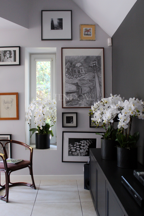 komplet - 3 szt. sztucznych storczyków Black Dreams, wys. 87, 72 i 69cm 